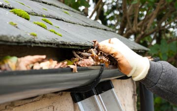 gutter cleaning Dipple