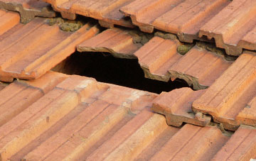 roof repair Dipple